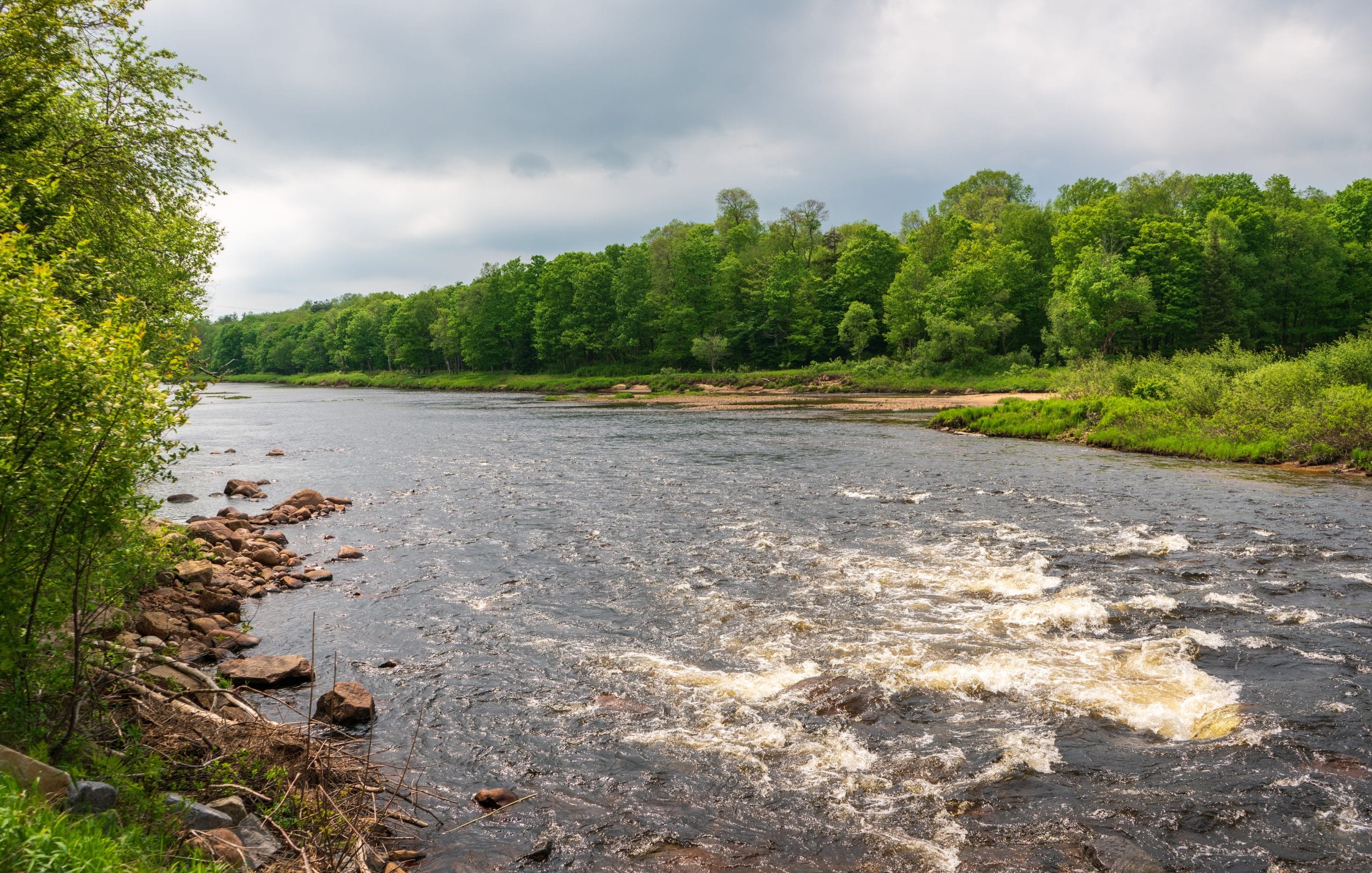 A serene lake in the Adirondacks surrounded by lush green trees, reflecting the vibrant summer landscape under a cloudy sky.